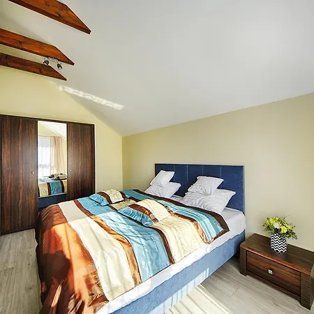 Salt Delux * 威利兹卡